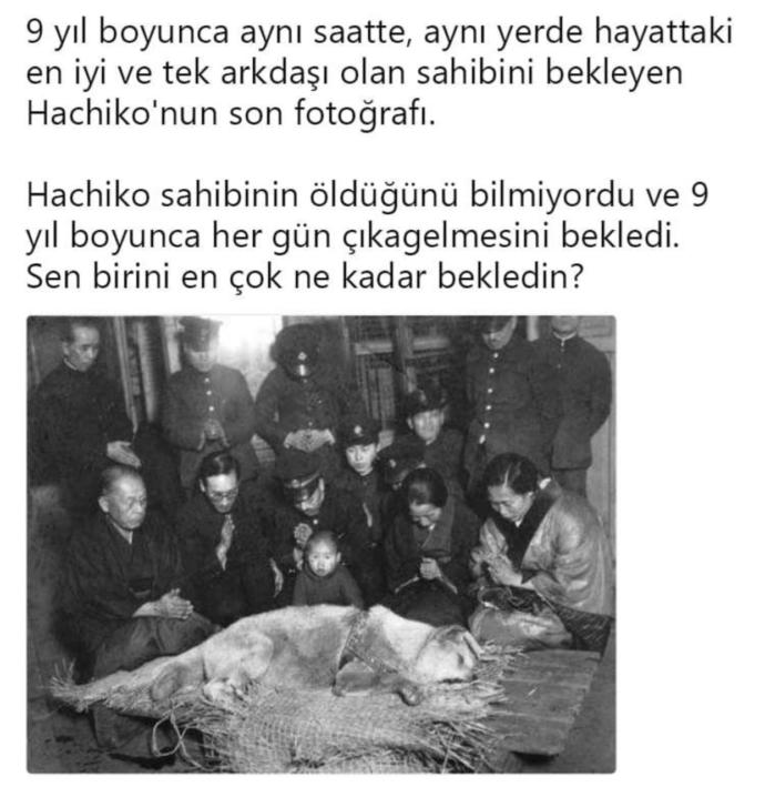 Sevdiğinizi ne kadar beklersiniz?