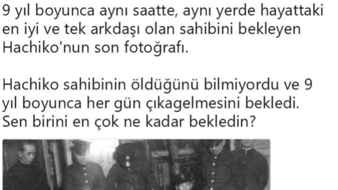 Sevdiğinizi ne kadar beklersiniz?