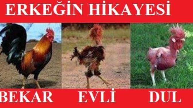 Senin evli bekar anlayışın nedir?