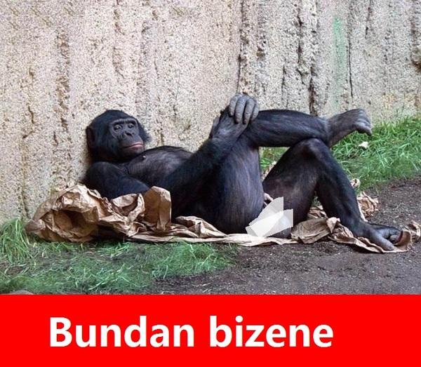 Rojbin kızıl nasıl sizce?