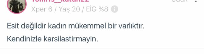 Feminizm nedir?
