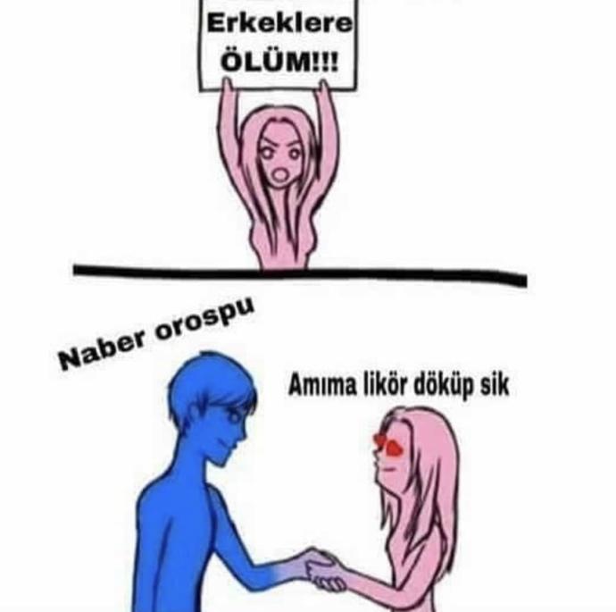 Feminizm nedir?