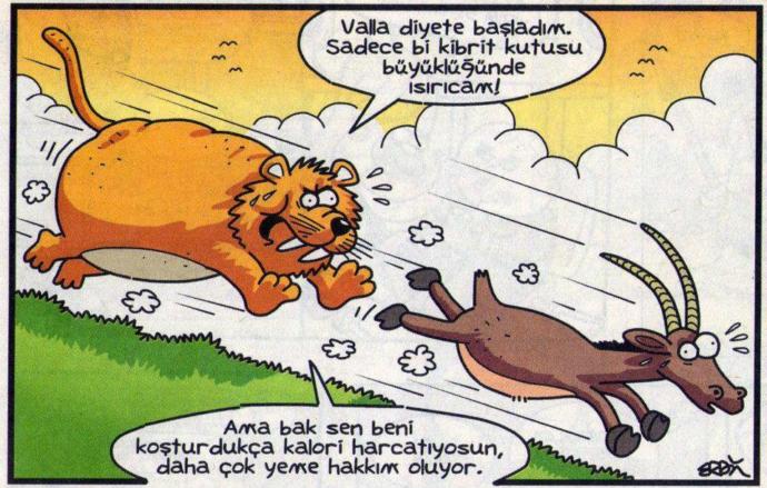 Sabah kibrit kutusu büyüklüğünde antilop :))