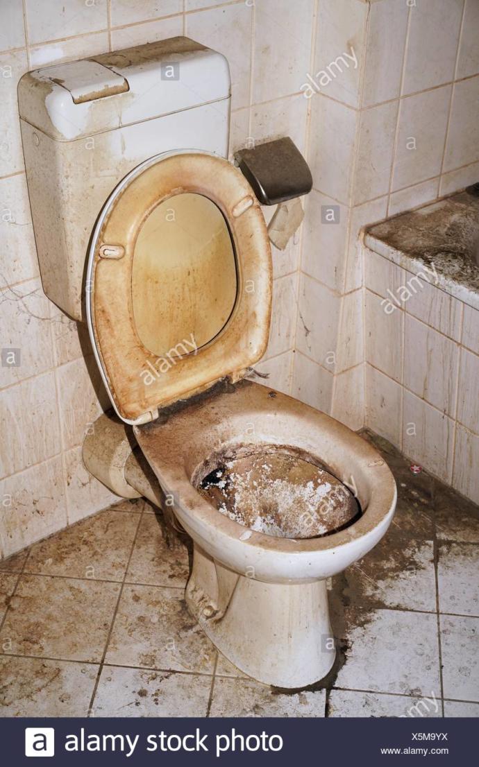 Salonumu güzelleştirmek için 3 boyutlu duvar kağıdı almak istiyorum. Sizce hangisini almalıyım?