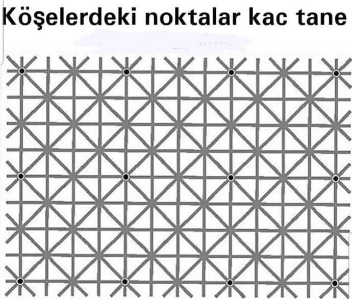 Burada kaç tane nokta var🤔?