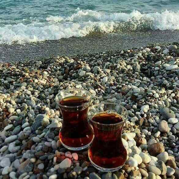 Şeker kanser hücrelerini besliyor