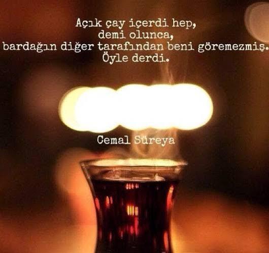 Diyor ki "çayı iki şekerli içerim çünkü birlikte erisinler." Ulan sanki biz halay çeksinler diye 23 şekerli mi içiyoruz?