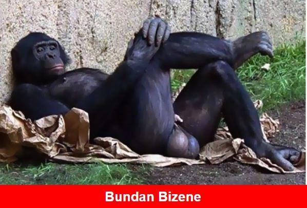 Bu fotoğraf yüzünden sevgilimle kavga ettik?