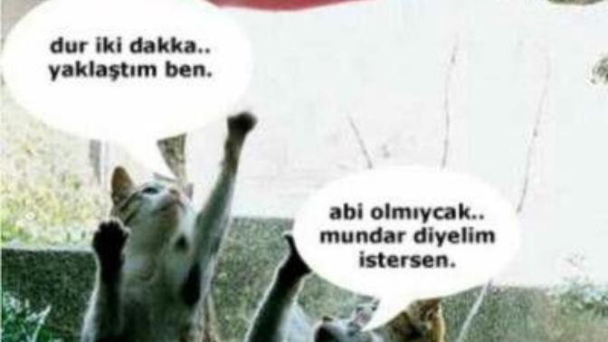 Kedi ulaşamadığı ciğere mundar dermiş. sizce bu ata sözü ne ifade etmek istemiş?