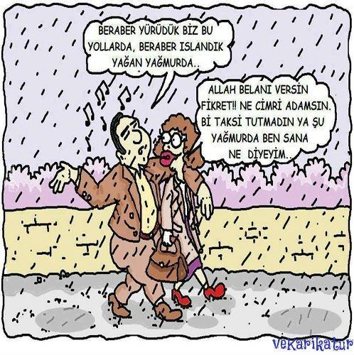 Cimri sevgili