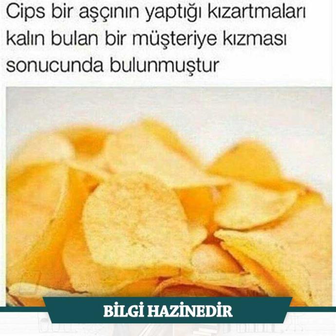 Öğrendiğiniz en enteresan bilgi neydi?