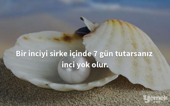Görselini en iyi ifade eden kısa notunu buraya ekleyebilirsin... iyi