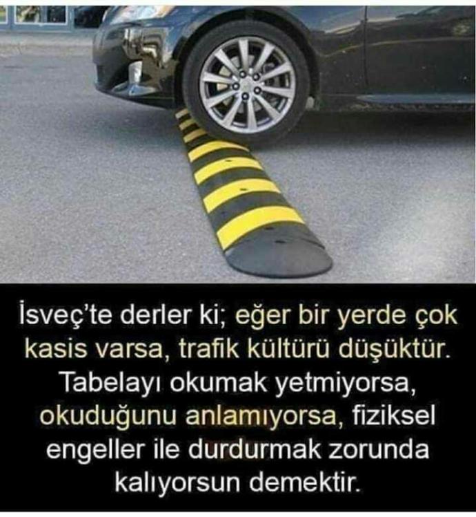 Türkiye'de neden normalden fazla kasis var?
