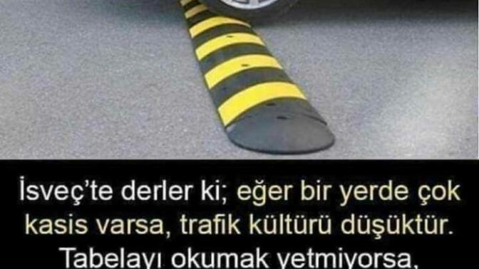 Türkiye'de neden normalden fazla kasis var?