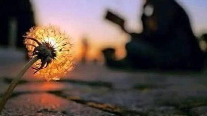 Huzur mu mutluluk getirir, mutluluk mu huzur getirir?