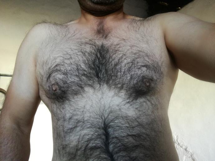 Göğsü kıllı erkekler bana neden bu kadar seksi geliyor?