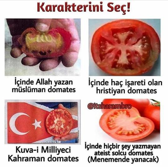 Tarifini ve karakterini seç sizce?