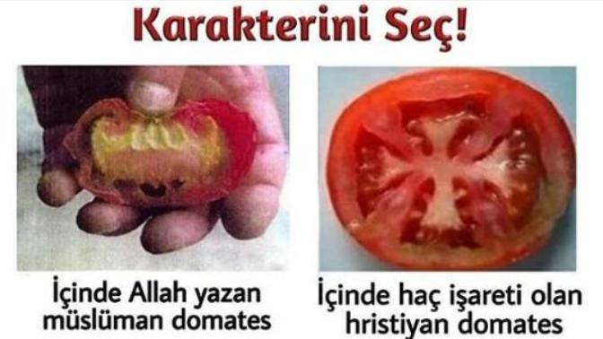 Tarifini ve karakterini seç sizce?