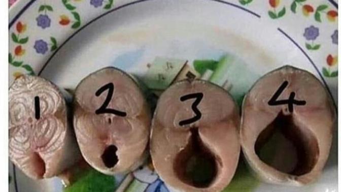Bol bol balık yemek ders notlarını yükseltir mi?