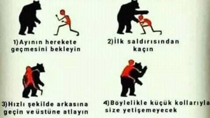 Karşınıza bir ayı çıkarsa ne yapmanız gerektiği hakkında devlet ne söylüyor bilmek ister misiniz?