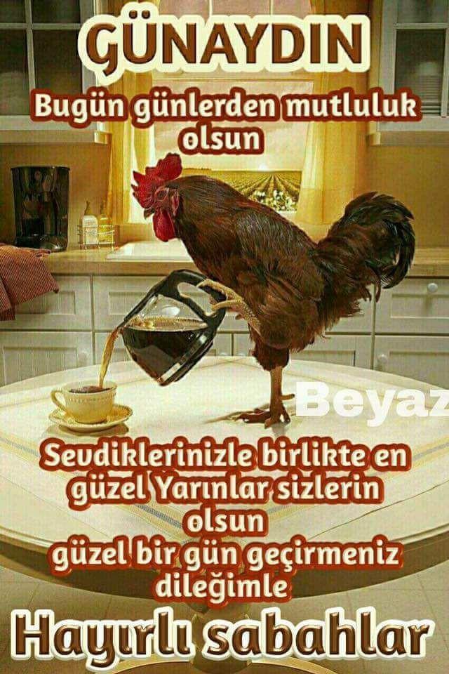 Günaydın mesajları hergün benden olsun mu?