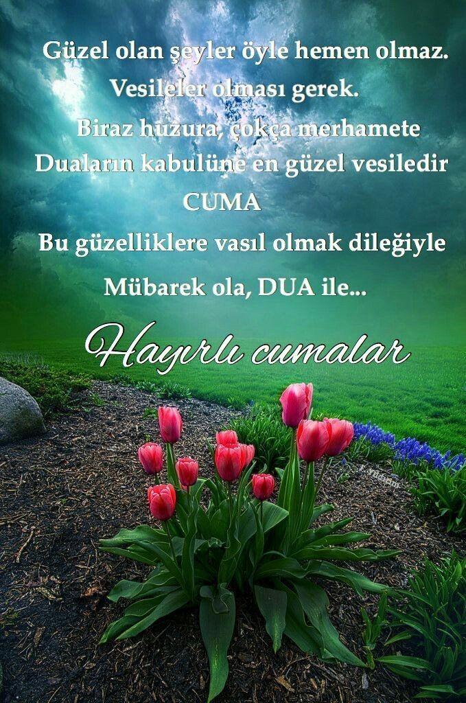 Günaydın mesajları hergün benden olsun mu?
