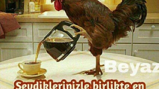 Günaydın mesajları hergün benden olsun mu?