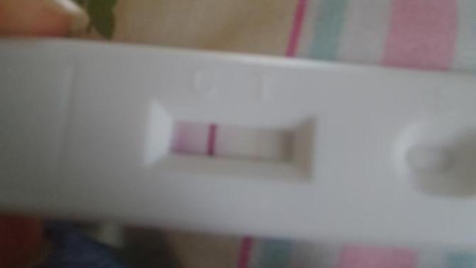 Yumurta çatlatma iğnesinden sonraki 10. gün test sonucu?