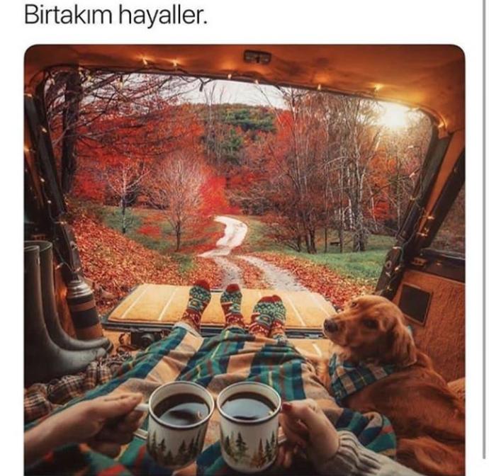 Evlenince eşinizle yapmanın hayalini kurduğunuz aktiviteler neler?