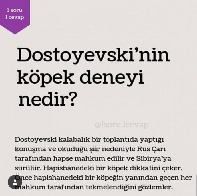 Bir insan, acıyı sevebilir mi?