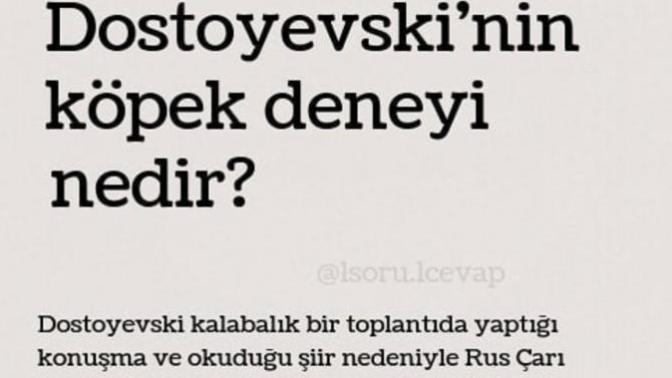 Bir insan, acıyı sevebilir mi?