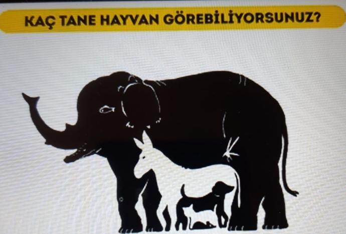 Resimde kaç tane hayvan görüyorsunuz?