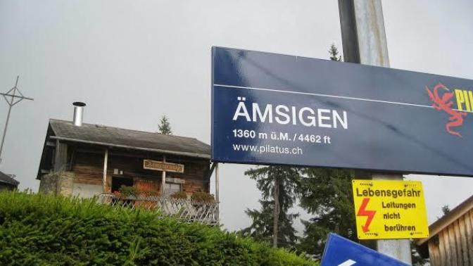 Amsigen nasıl sizce?