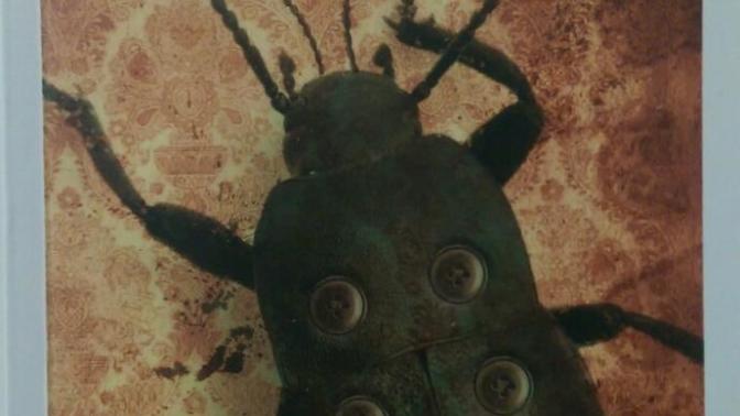 Kafka (Dönüşüm) Okudunuz mu?