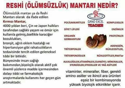 Hayvanlar üzerinde deney yapmayan ve vegan ürün isteyenler buraya?