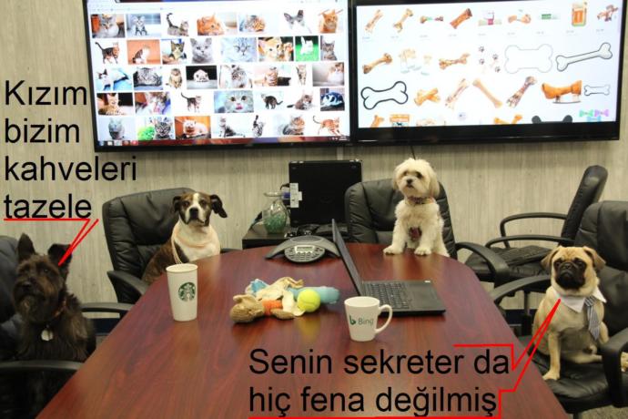 Yeni bir güne başlarken sizi en çok ne motive eder?