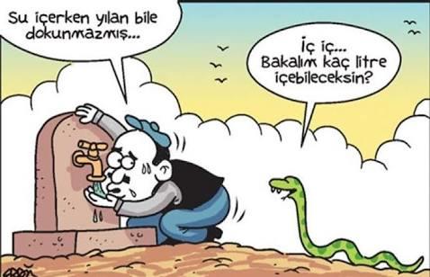 Karikatür kitap önerisi?