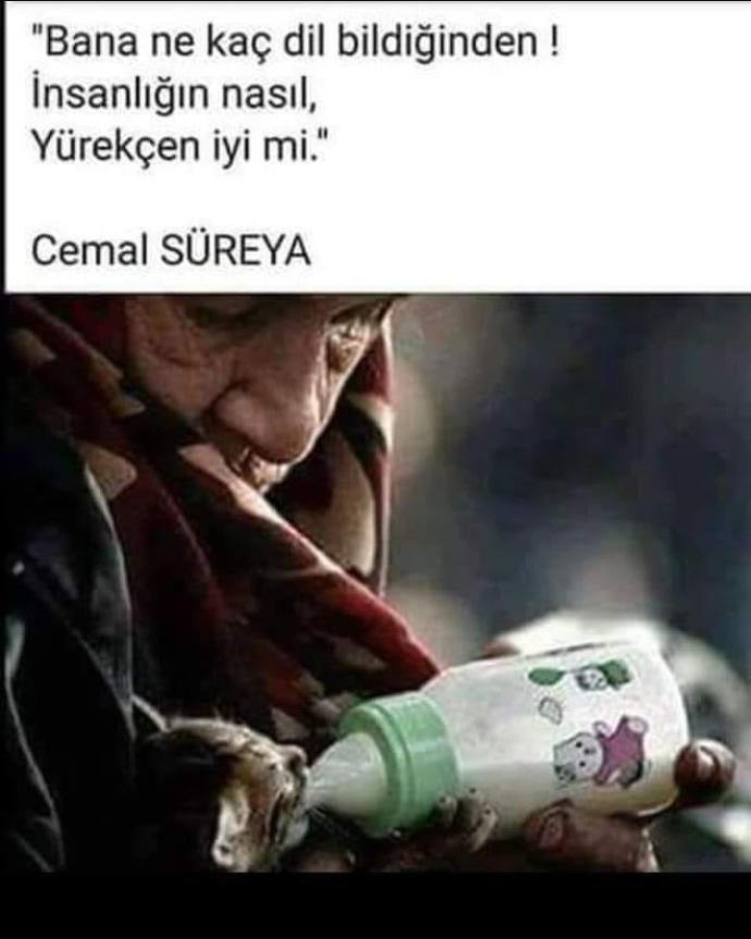 Yürekçen iyi mi?