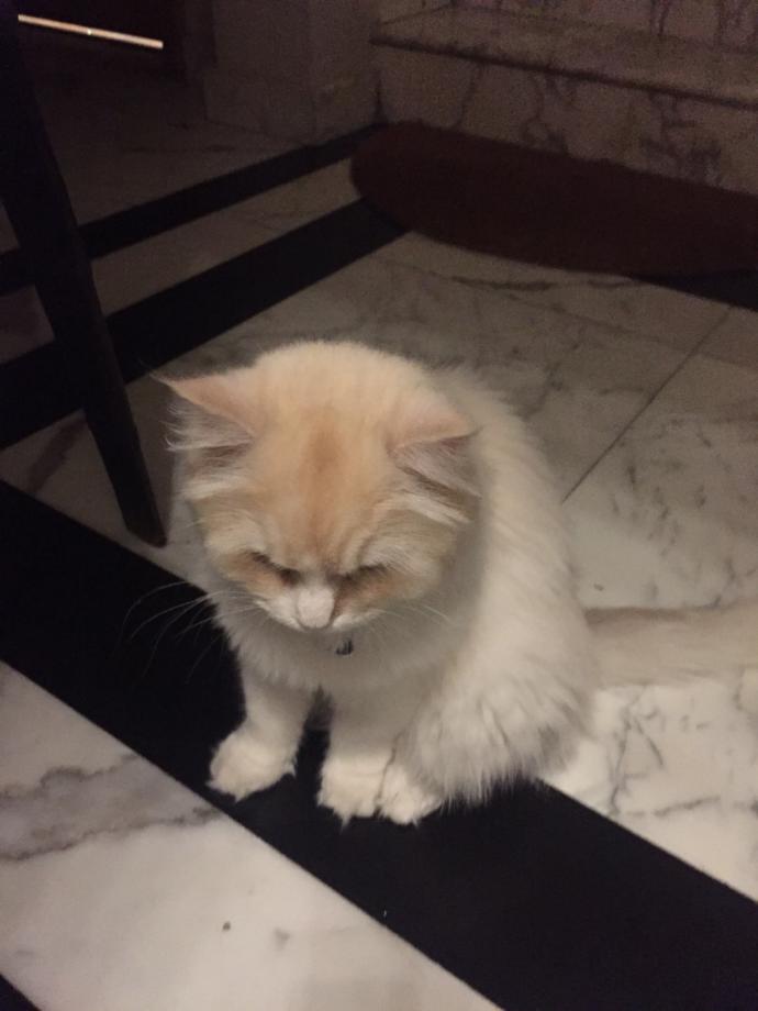 Mutlu olmak için illa sevgili şart mı?