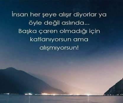 Alışmak mı daha zor yoksa sevmek mi? İnsan alışmaktan korkar mı peki?😥😥😥?
