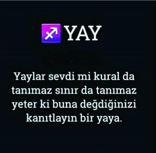 Yay burcu hakkında düşünceleriniz neler?