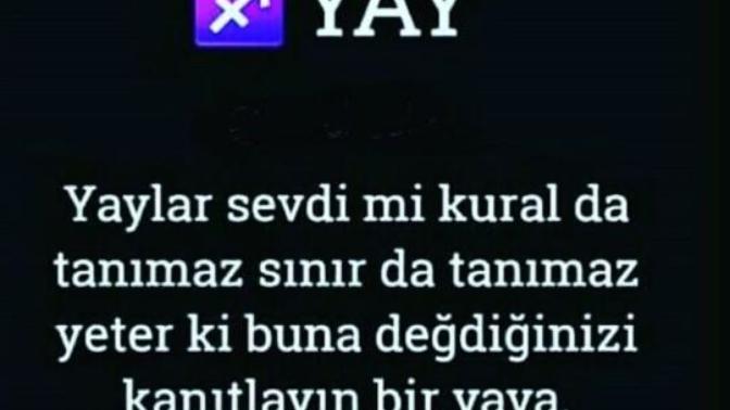 Yay burcu hakkında düşünceleriniz neler?