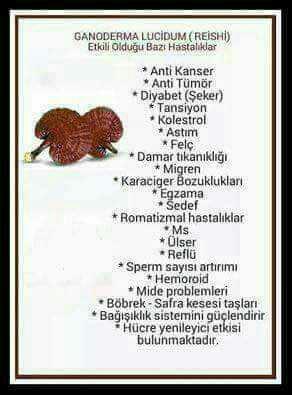 53 kiloyum ama 55 56 kilo gibi duruyorum neden böyle kilo nasıl verebilirim?