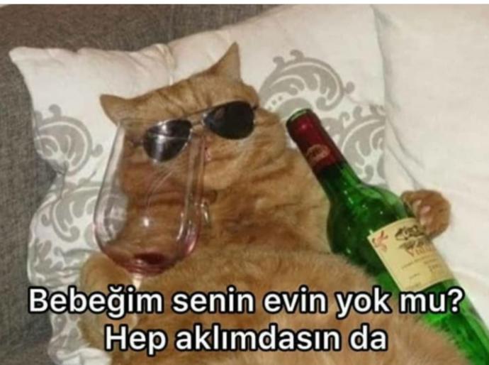 Hep aklınızda olan ne var?