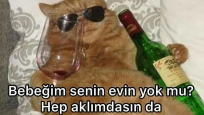 Hep aklınızda olan ne var?