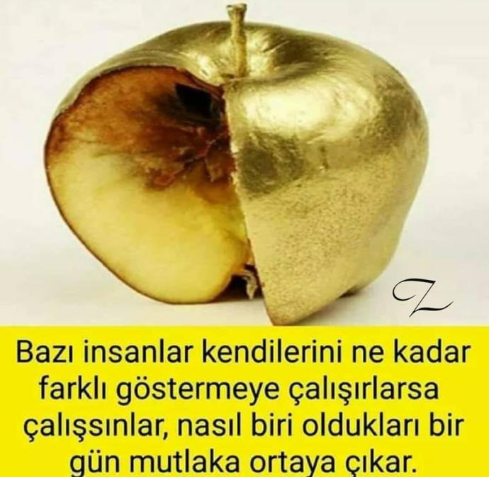 İçi çürümüşlere gelsin 😉