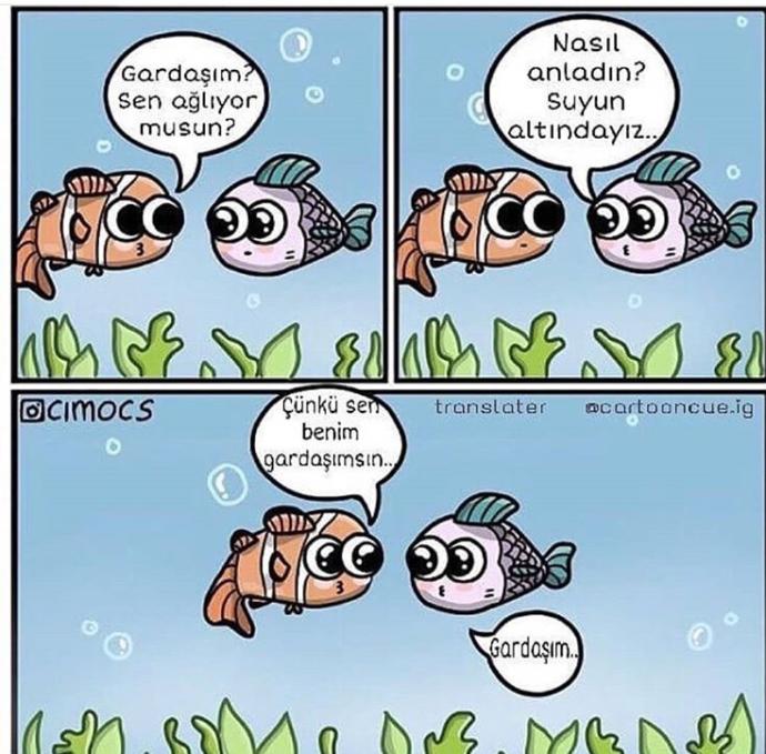 Var mı böyle kardeşleriniz?