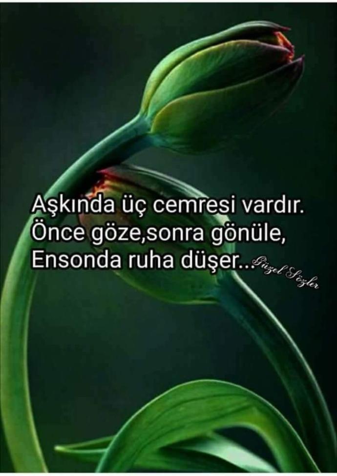 Hiç ilk görüşte aşık oldunuz mu?