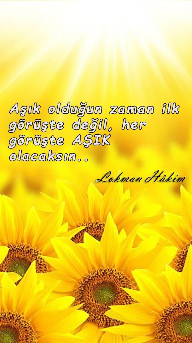Hiç ilk görüşte aşık oldunuz mu?