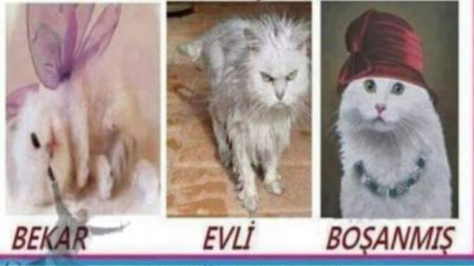 Boşandıktan sonra kadınlar gerçekten böyle mi?